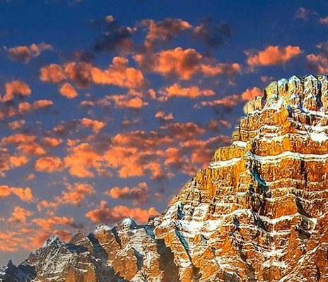 世界上最大的狼蛛图片