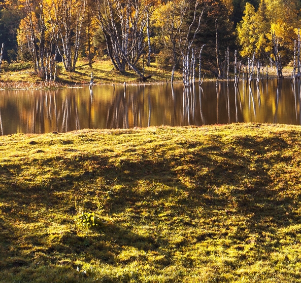 胡润世界500强名单