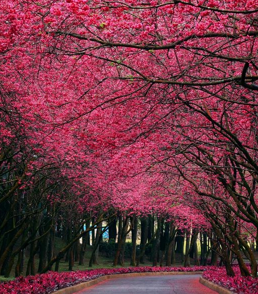 扬州和晶科技有限公司怎么样