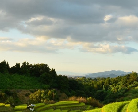 宝家乡墅科技口碑怎么样