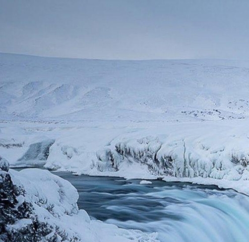 世界和平标志纹身