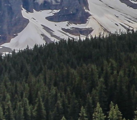 成都易态科技有限公司怎么样