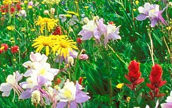 完美世界手游充值折扣