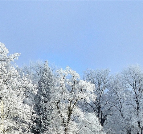 科技画作品创意说明300字