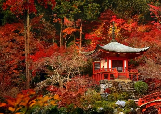 wowbee魔蜂辅助论坛