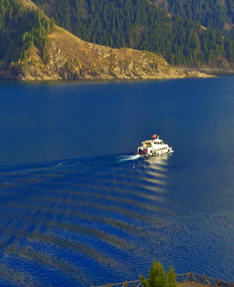 世界上第一个国家颁布的药典出现在什么时代