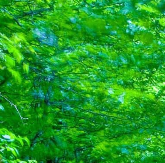 黑龙江科技大学