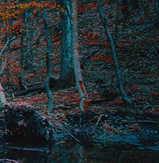 海城供求世界电话号码