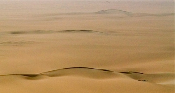 世界银行网站上出版物可在哪一栏目进行查看