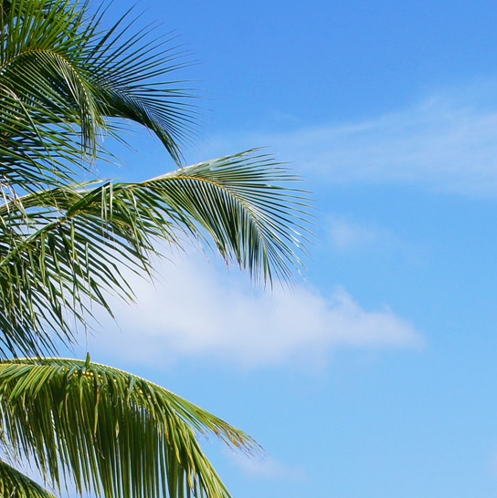 浙江科技学院值得读研吗