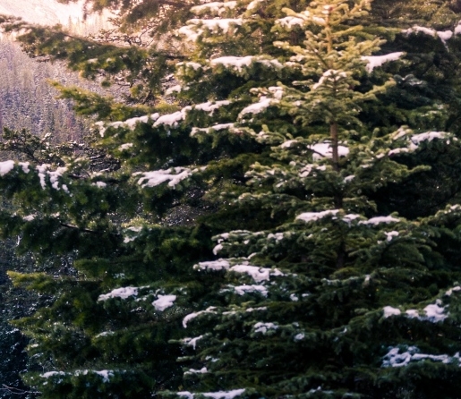 跳跳鱼世界第三季全集