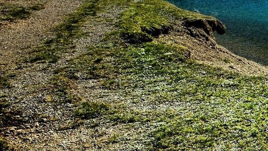 斗罗之科技狂潮