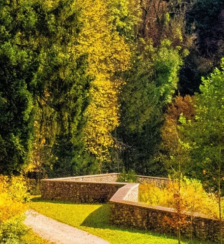 世界上最丑的狗品种