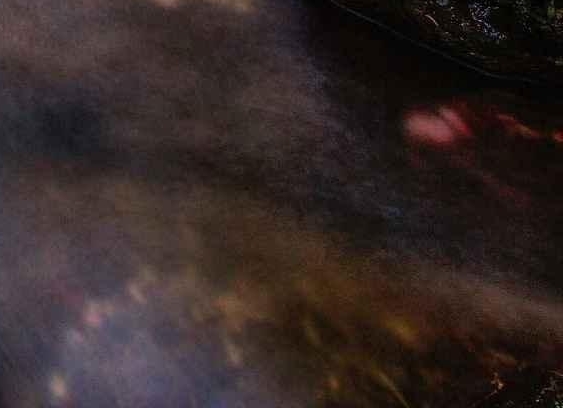 沐甜科技官网一口价