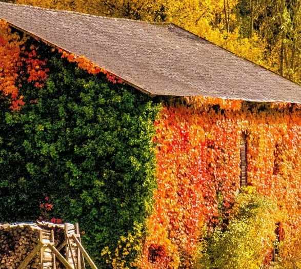 汇顶科技还有未来吗