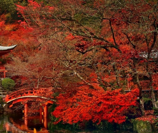 金发科技股票行情