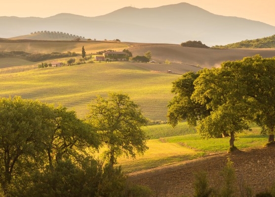 世界电影之旅2015