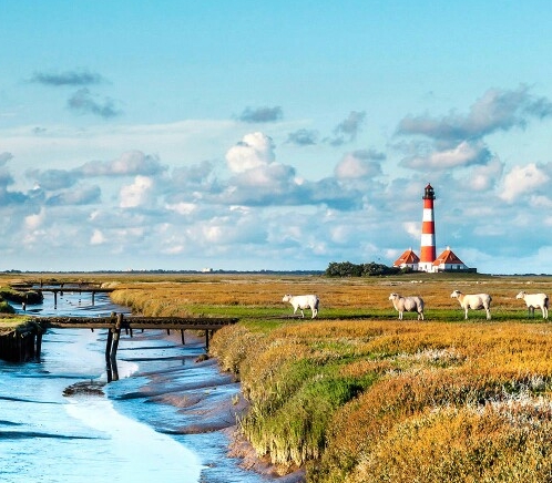 运动世界校园代跑接单平台