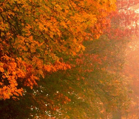 黄易世界时间线