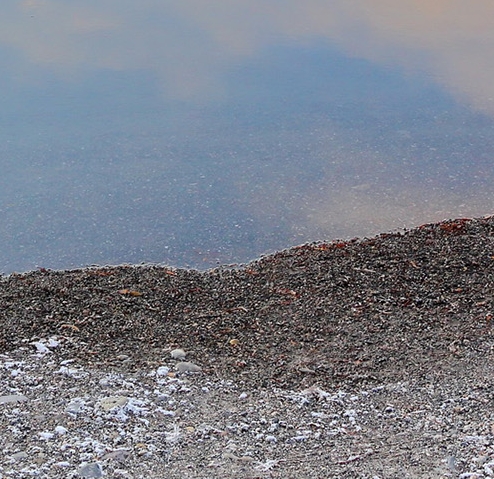 青青世界门票哪里买便宜
