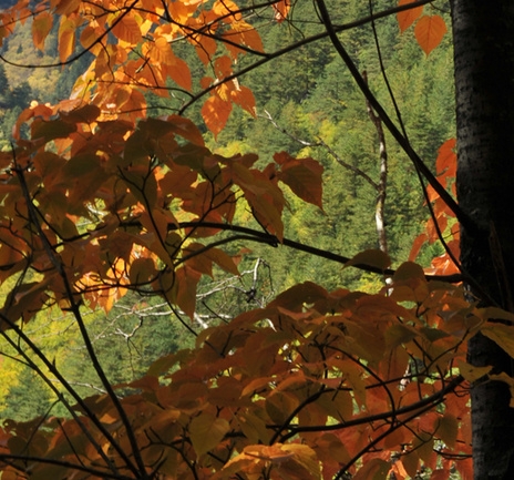 安顺市应急管理局