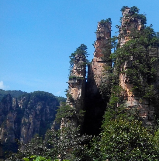 防灾科技学院教务处处长