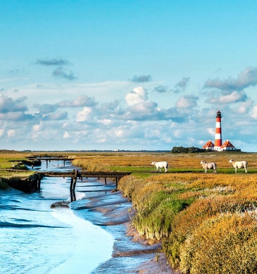 天准科技股份有限公司官网