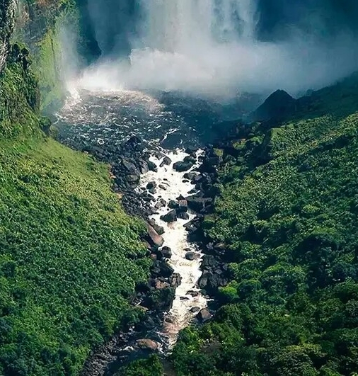 世界上谁的肚子最大是什么生肖