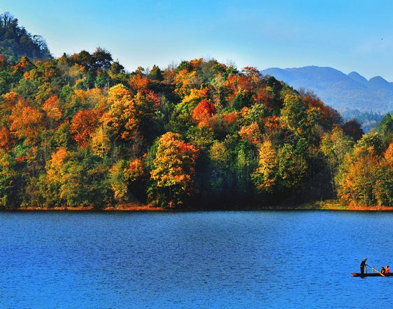 职场培训有哪些课程