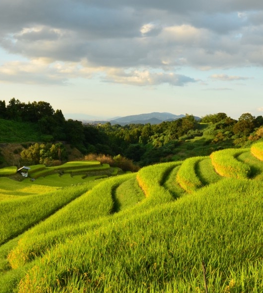 世界互联网大会一共举办了多少届