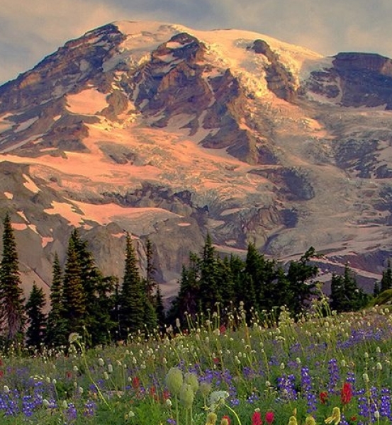 华中科技大学统一支付平台官网