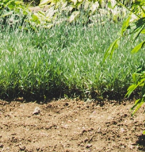 重庆科技学院奥蓝系统 信息