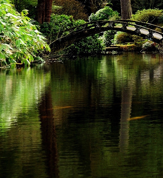 山东科技大学贴吧黄岛校区