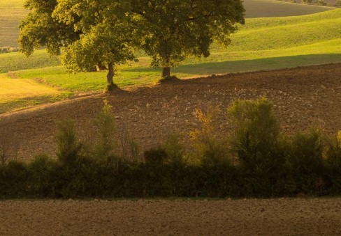 英可瑞科技股份有限公司官网