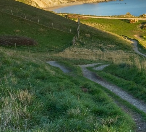 军工科技 止天戈