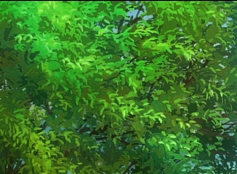 空中网游戏逆火
