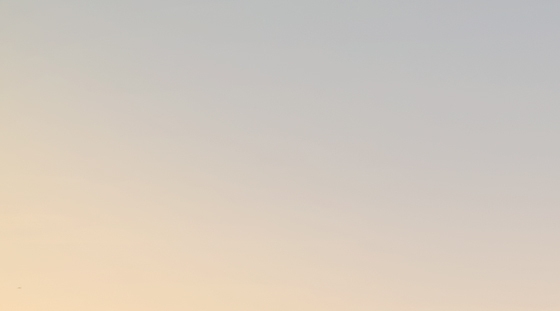 2023王者荣耀世界冠军杯