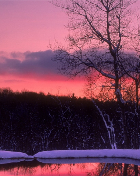 凯龙高科技股份有限公司股票