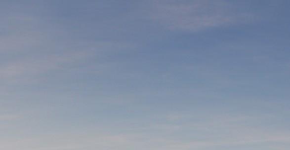 手机排行榜前十名