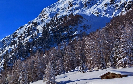 科技成果登记流程