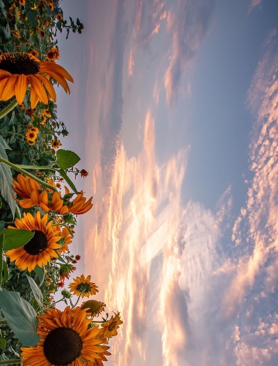 魔兽世界国服什么时候再开