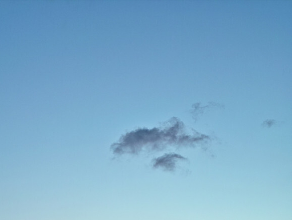 世界上谁的肚子最大是什么动物