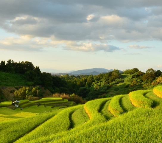 我的世界炼药锅怎么用视频