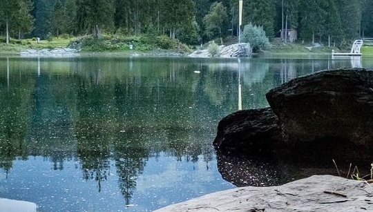 抚顺皇家极地海洋世界