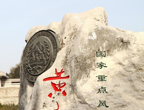 巨型大虾震惊全球：揭秘世界上最大的虾如何成为海洋生态的霸主与美食之最