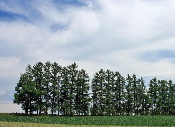 科技成果管理与研究期间怎么样