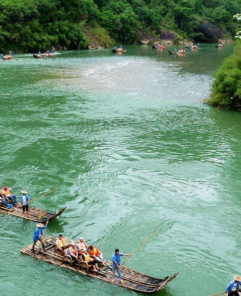 三年级海底世界课文助学:画画大全与奇妙海洋生物探索之旅