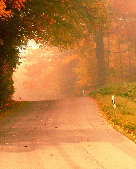 深圳科技局电话