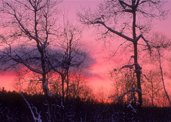 世界上有丧尸病毒吗视频