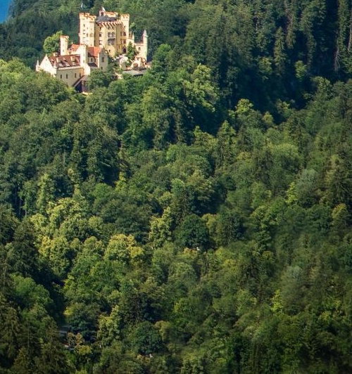 淹城野生动物世界地图